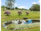 Woombye QLD 4559