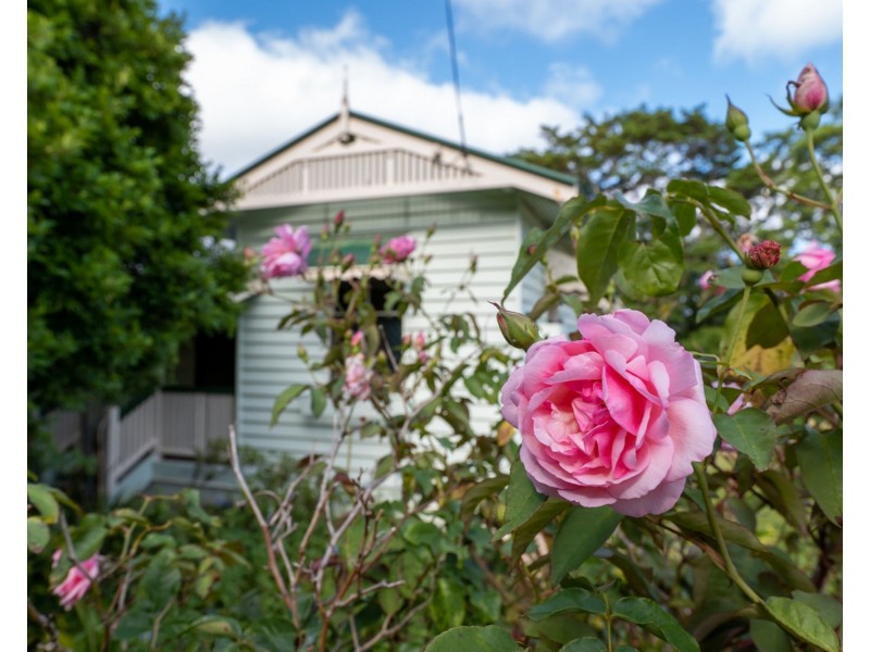 463 Flaxton Drive, Flaxton QLD 4560