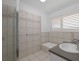 19 Orlando Crescent, Kuluin QLD 4558