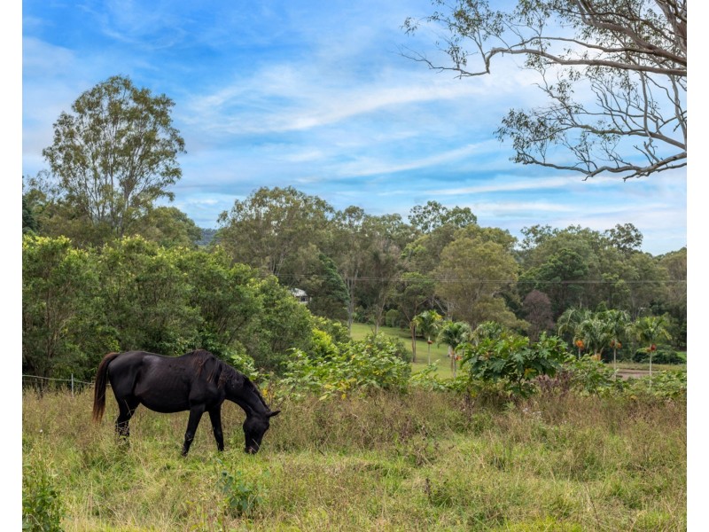 123 Simba Road, West Woombye QLD 4559