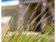 28 Amber Drive, Caloundra West QLD 4551
