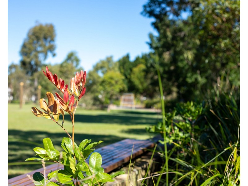 28 Amber Drive, Caloundra West QLD 4551