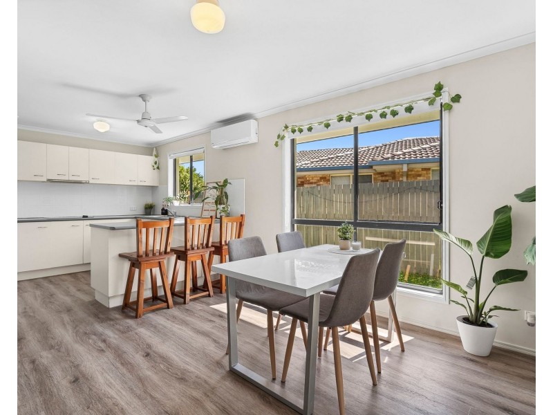 18 Kalmia Place, Mountain Creek QLD 4557