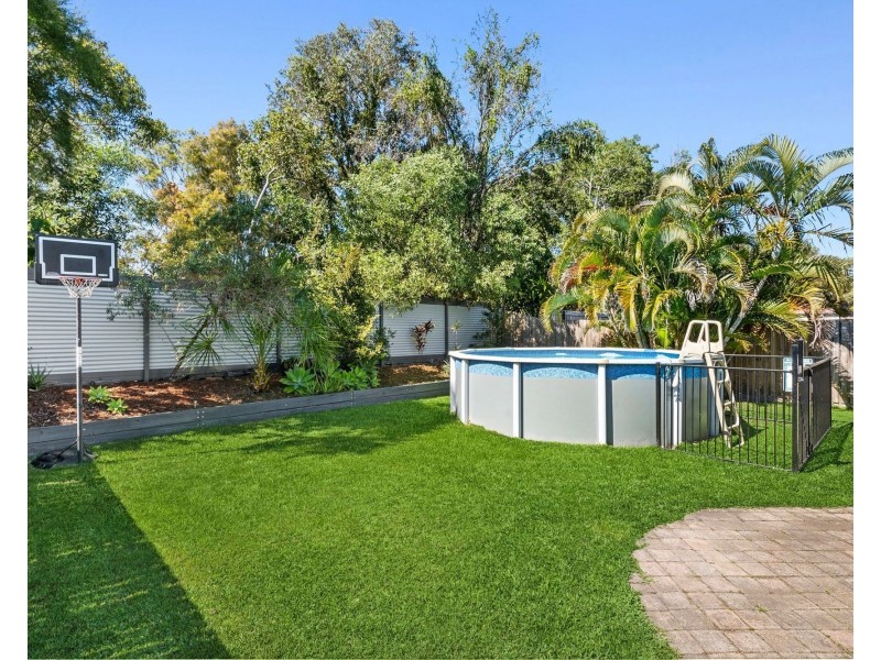 18 Kalmia Place, Mountain Creek QLD 4557