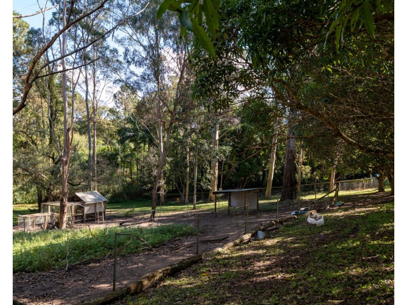 260-264 Diddillibah Road, Diddillibah QLD 4559