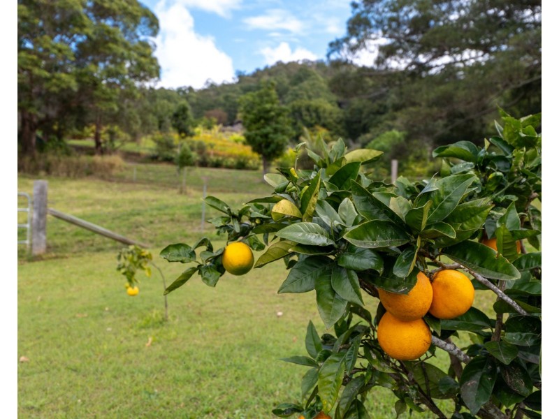 2 Simons Road, Towen Mountain QLD 4560