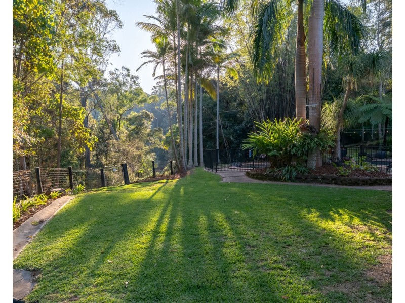 55 Carruthers Road, West Woombye QLD 4559