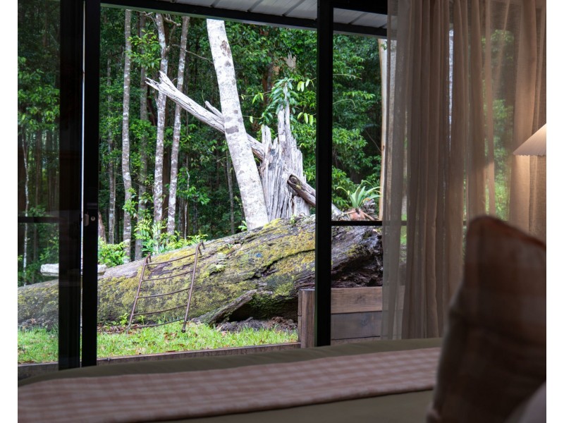 16 Platypus Creek Road, Dulong QLD 4560