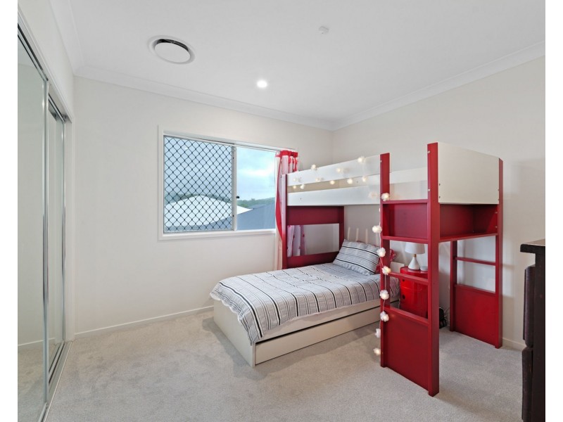 19 Caper Street, Palmview QLD 4553