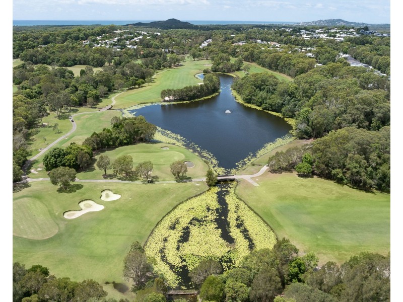 77 The Avenue, Peregian Springs QLD 4573