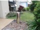 7 Liekefett Way, Little Mountain QLD 4551