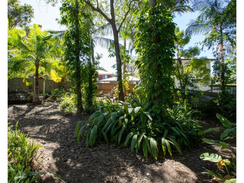 15 Grey Gum Drive, Little Mountain QLD 4551