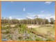 12 Parkview Drive, Little Mountain QLD 4551