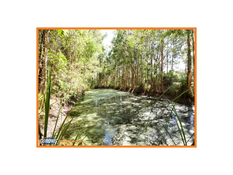 173 Kings Road, Glass House Mountains QLD 4518