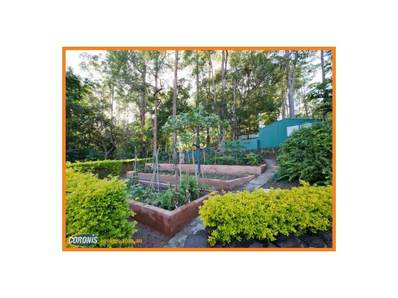 139 Diamond Valley Road, Mooloolah Valley QLD 4553