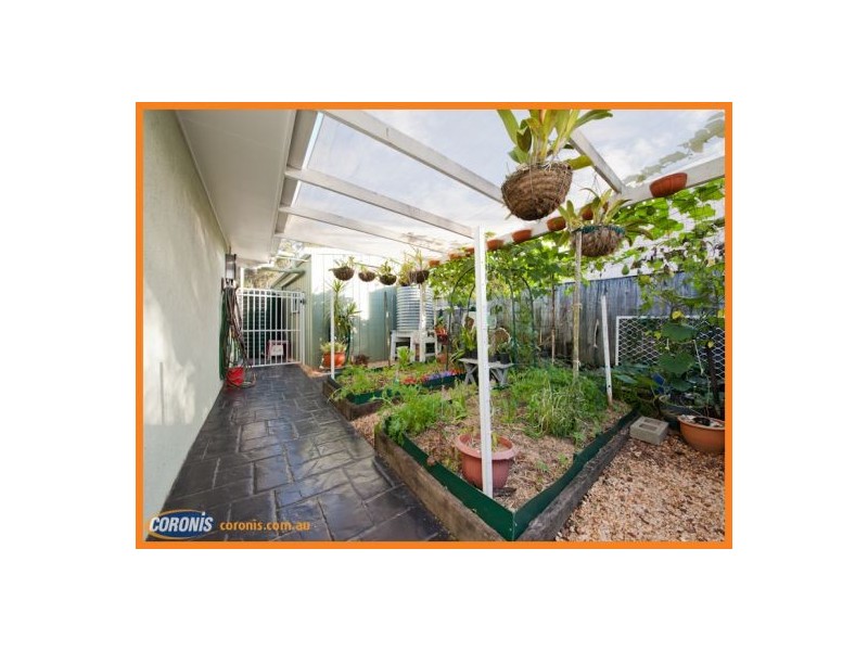 1 Araluen Close, Mountain Creek QLD 4557