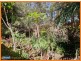 51 Newton Drive, Beerwah QLD 4519