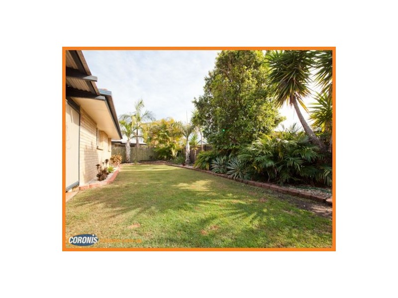 3 Teak Court, Mountain Creek QLD 4557