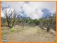 139 Commissioners Flat Road, Peachester QLD 4519