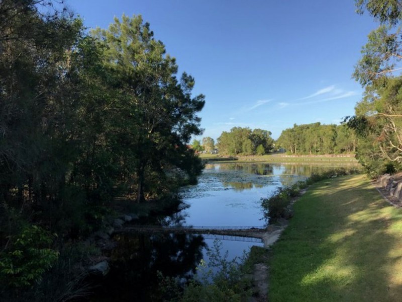11 Avondale Place, Little Mountain QLD 4551