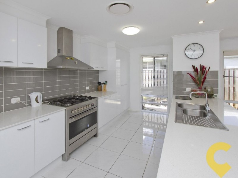 11 Spoonbill Drive, Forest Glen QLD 4556