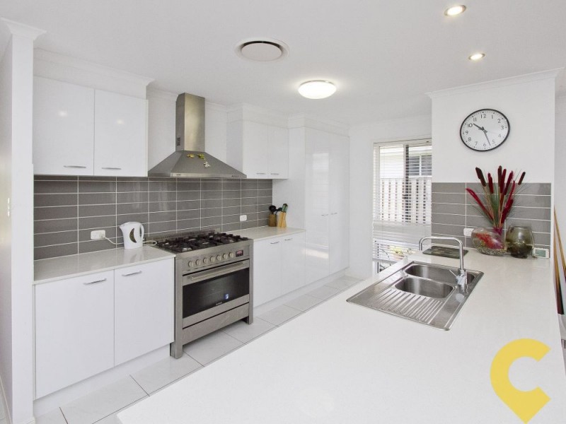 11 Spoonbill Drive, Forest Glen QLD 4556