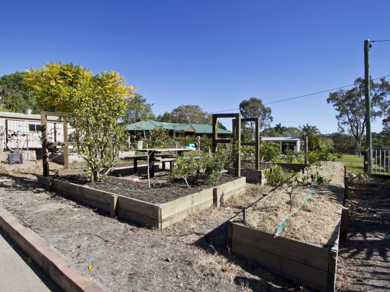 13 Brolga Court, Little Mountain QLD 4551