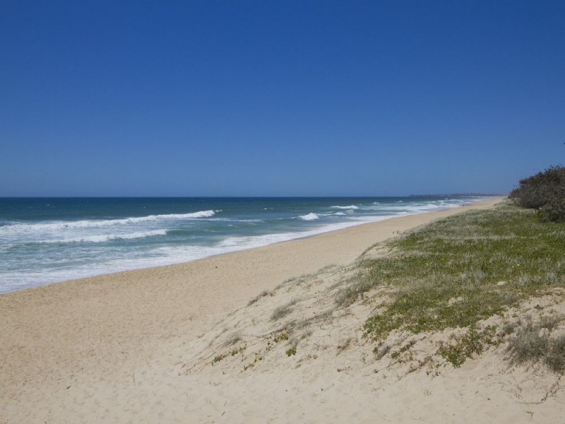 8/145 Lowanna Drive, Buddina QLD 4575