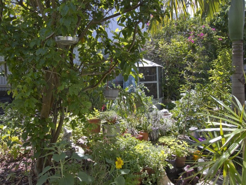 6 Doondoon Street, Currimundi QLD 4551