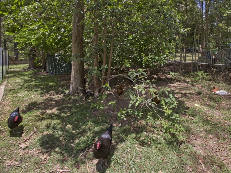 3 Leafy Lane, Mooloolah Valley QLD 4553