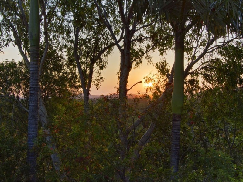 2 Ridgewood Road, Little Mountain QLD 4551