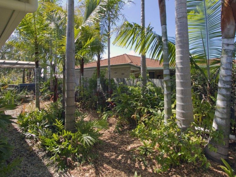 52 Buderim Street, Battery Hill QLD 4551