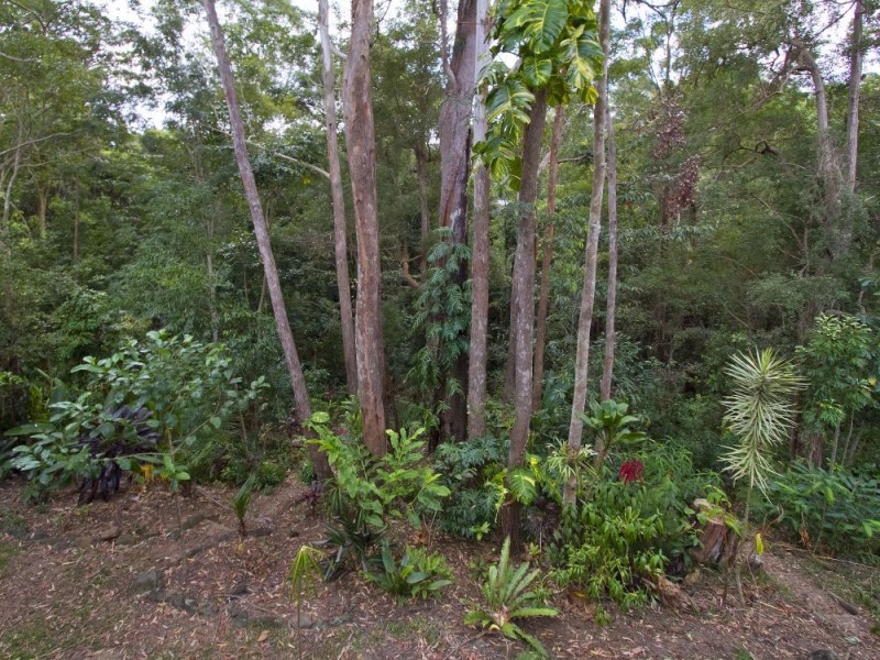 21 Palana Court, Buderim QLD 4556