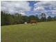 56 London Creek Road, Peachester QLD 4519