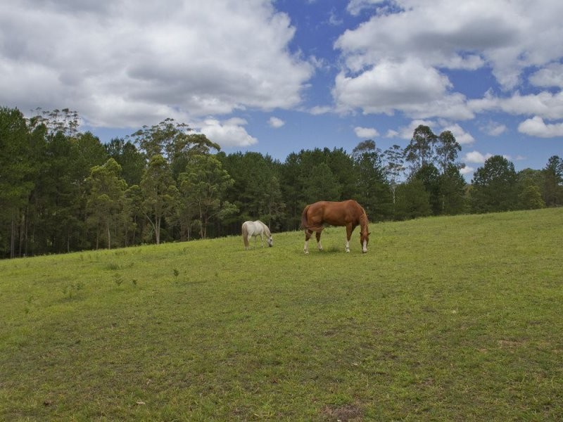 56 London Creek Road, Peachester QLD 4519
