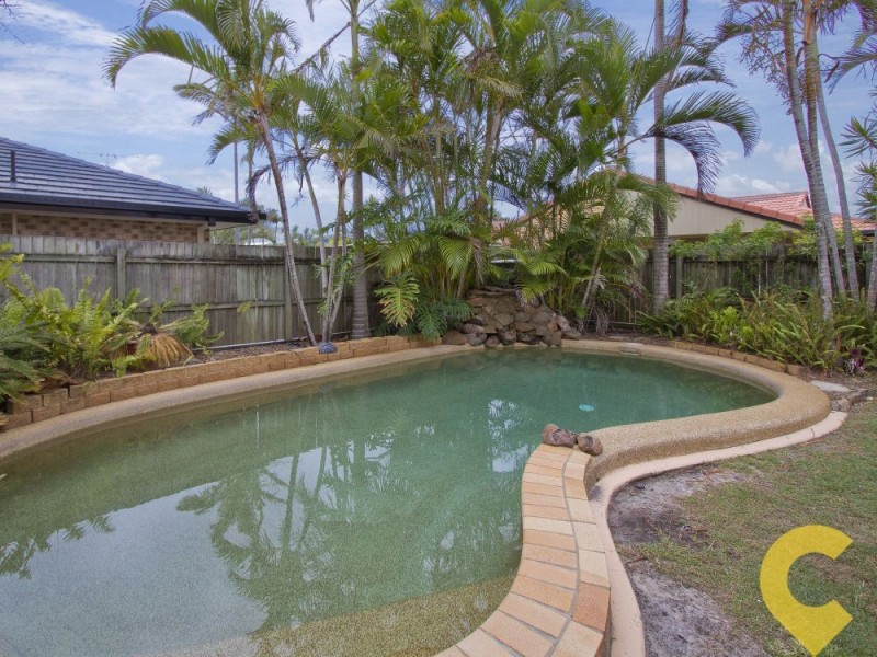 3 Cygnet Court, Wurtulla QLD 4575