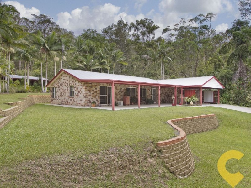 19 River Gum Close, Mooloolah Valley QLD 4553