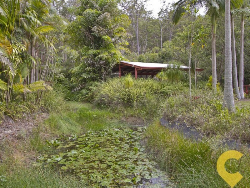 19 River Gum Close, Mooloolah Valley QLD 4553