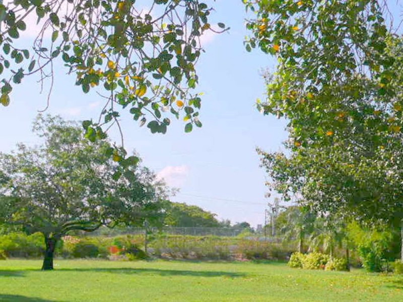 Rockhampton City QLD 4700