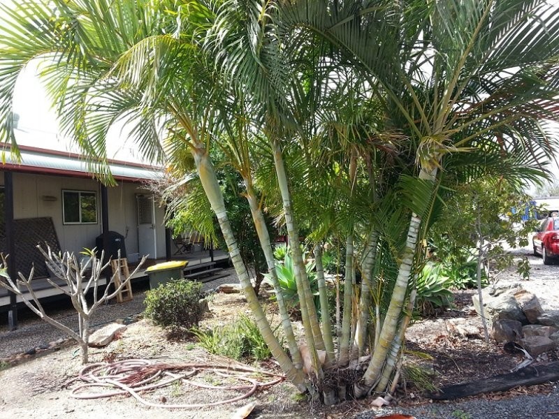 146 Foster Street, Rockhampton City QLD 4700
