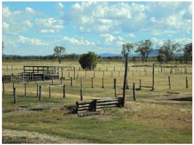 661 Ridgelands Road, Alton Downs QLD 4702