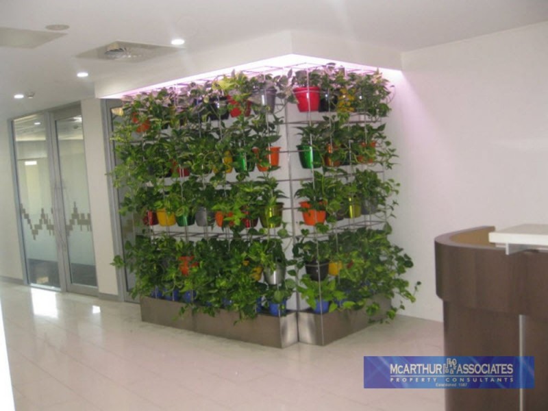 Spring Hill QLD 4000