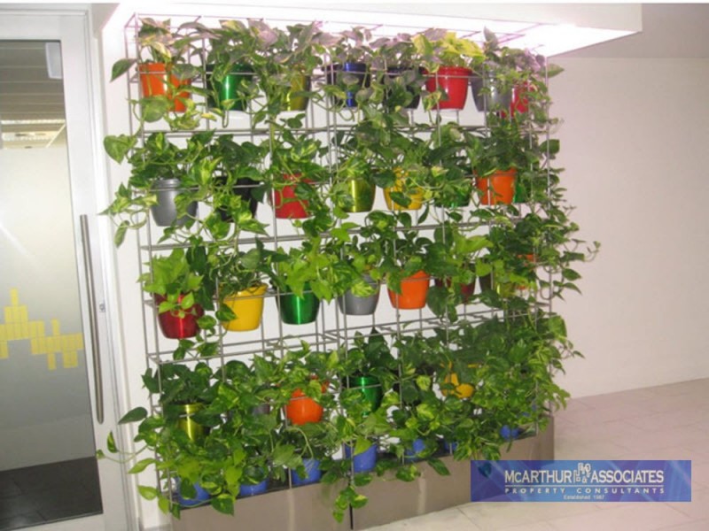 Spring Hill QLD 4000