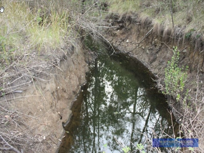 98 Bunya Way, Blackbutt QLD 4306