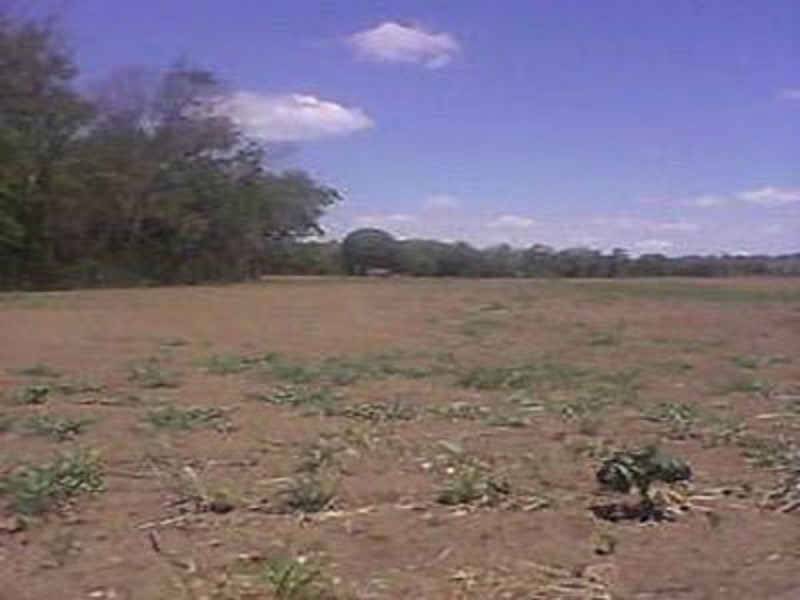 Lot 11,0 Mount Beppo Road, Toogoolawah QLD 4313