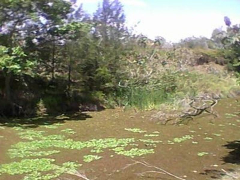 Lot 11,0 Mount Beppo Road, Toogoolawah QLD 4313