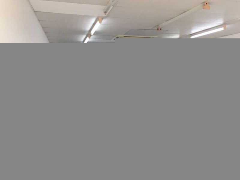 Logan Central QLD 4114