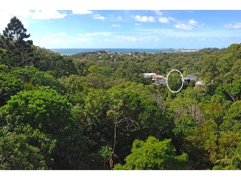 19 Crest Drive, Currumbin QLD 4223