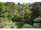 19 Crest Drive, Currumbin QLD 4223