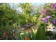 2 Carlyle Drive, Currumbin QLD 4223